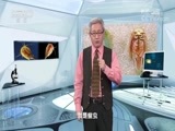 地理中国 《地理中国》 20180625 水下谜团·稻田奇虫