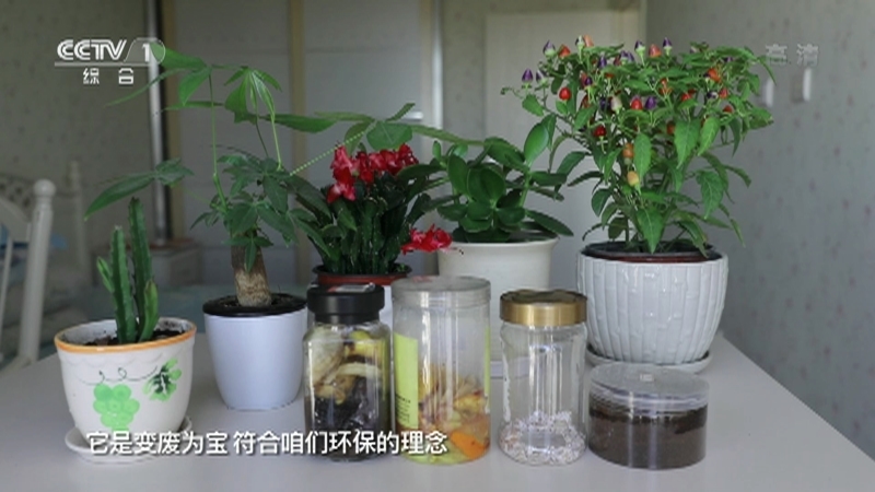《生活提示》 20210110 生活垃圾做肥料靠谱吗？