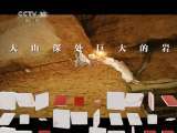 地理中国 地理中国 2011年 第47期 石中的“龙鳞”
