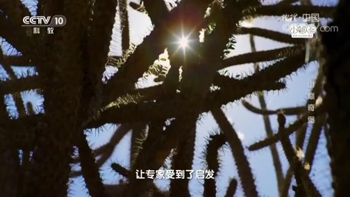 地理中国 《地理中国》 20180917 自然谜题·山巅奇堡