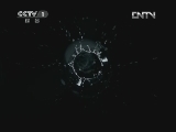 魅力纪录（CCTV-1综合频道） 《生命》 5 鸟