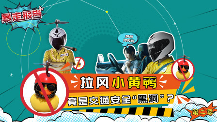 车载小黄鸭涉嫌违法，路虎新车车展首发