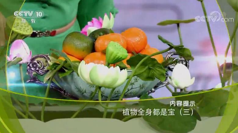 健康之路 《健康之路》 20190721 植物全身都是宝（三）