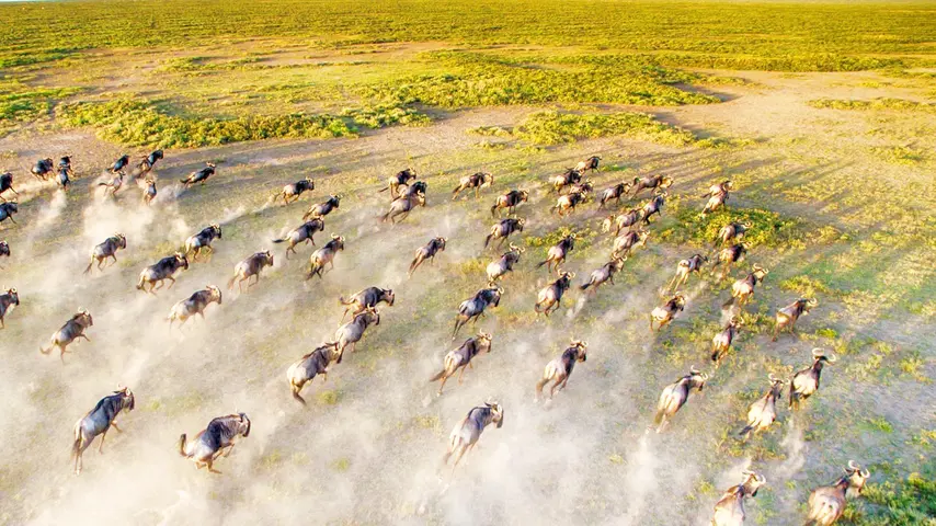 《侣行·翻滚吧非洲》第6期