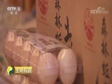 生财有道 《生财有道》 20180821 大山深处天地宽 林下经济开新篇