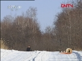 生财有道 《生财有道》 20111219 密林深处游走的财富