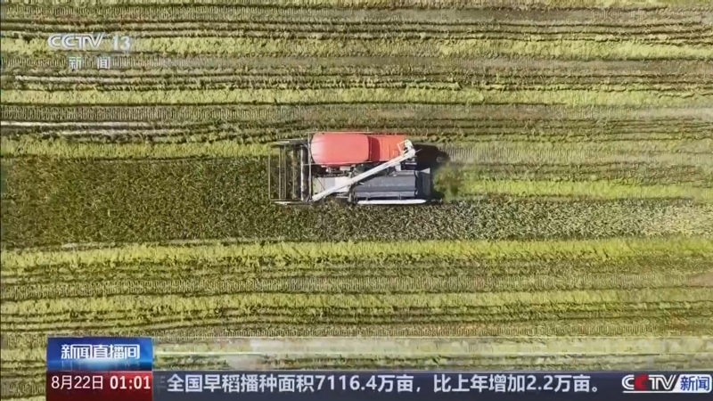 新闻直播间 《新闻直播间》 20260822 01:00