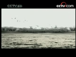 民歌&middot;中国 民歌·中国 2008年 第81期