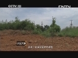 小区大事 《小区大事》 20130914 辣椒地之战