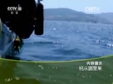 走近科学 《走近科学》 20151215 钙从哪里来