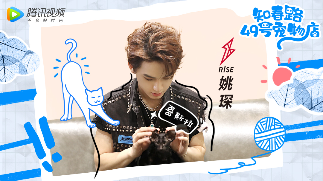 知春路49号宠物店×姚琛：想带宠物选美