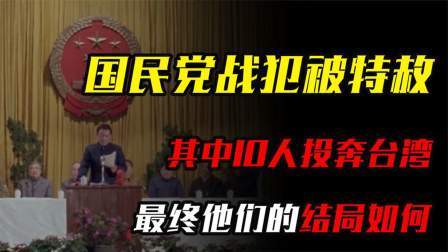 红墙往事 最后一批国民党战犯被特赦，其中10人投奔台湾，最后结局如何