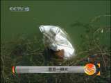 天网 罪恶一瞬间