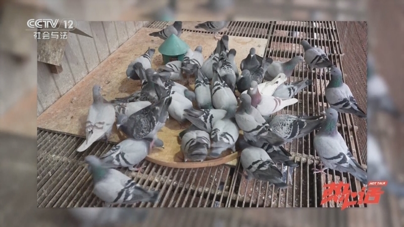 《热心话》 20251102