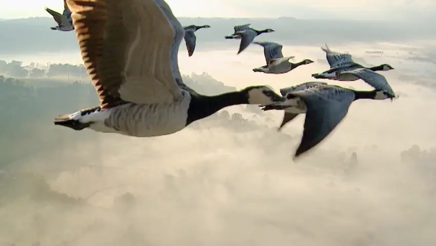 《鸟瞰地球》第2集