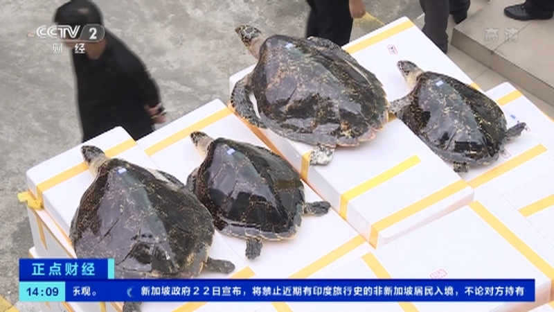 《正点财经》 20210423 14:00
