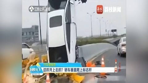 网罗天下 这咋开上去的? 轿车垂直爬上标志杆