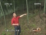 生财有道 [生财有道]荒山中的绿色银行(20120427)