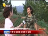 辽宁新闻 《辽宁新闻》 20170726