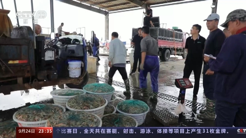24小时 《24小时》 20230924
