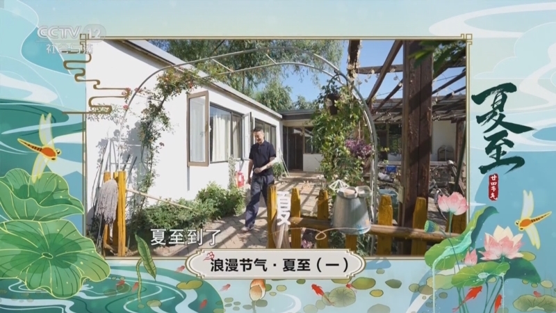 夕阳红 《夕阳红》 20250621 浪漫节气·夏至（1）