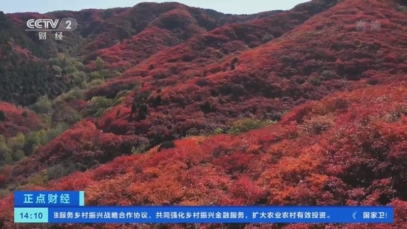 正点财经 《正点财经》 20221020 14:00