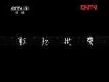 动物世界 《动物世界》 20111029