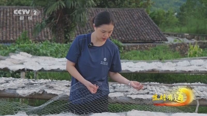 生财有道 《生财有道》 20250814 民间有高手：匠心师承 纸寿千年
