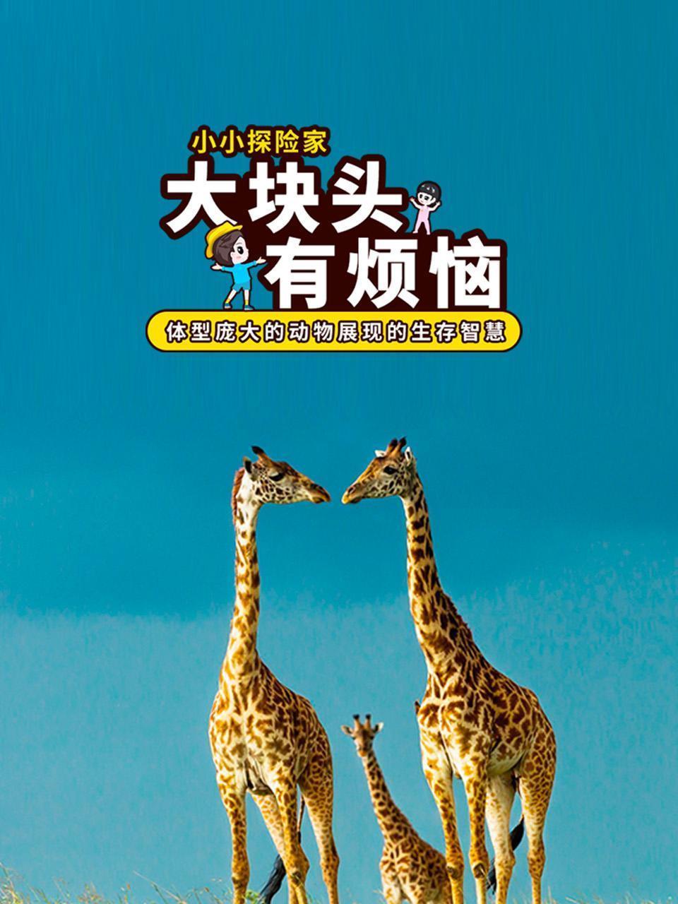 大块头有烦恼：体型庞大的动物展现的生存智慧