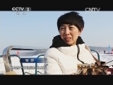生财有道 《生财有道》 20150204 奔跑吧 雪橇犬