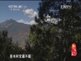 记住乡愁第一季 《记住乡愁 第一季》 20150128 第二十八集 吾木村——天人和谐心性真