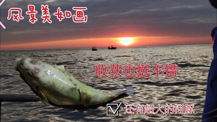 南澳岛赶海日记 海上风景美如画彪哥有点不务正业，收获不错还有河豚