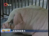 重庆新闻联播 《重庆新闻联播》 20161116