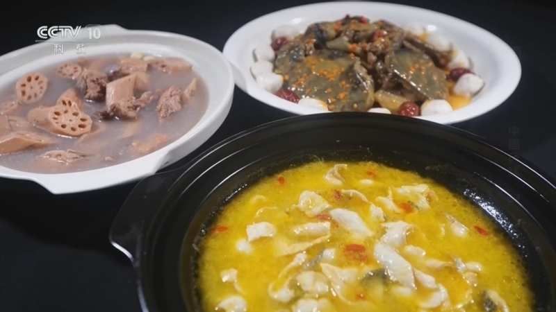 《味道》 20260509 中国风味（67）