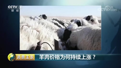 消费主张 《消费主张》 20181130 羊肉价格为何持续上涨？