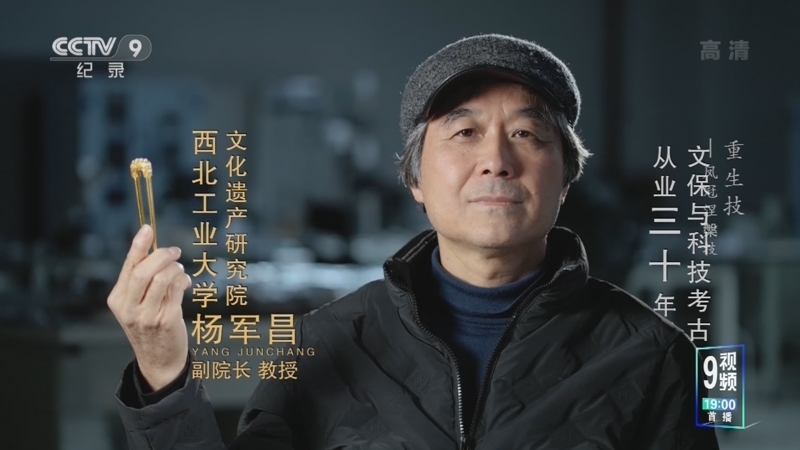 《重生技》 第5集 凤冠涅槃技