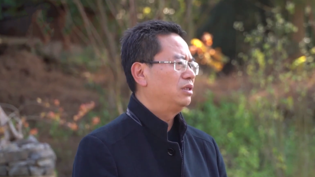 社会传真 资本下乡 激活乡村