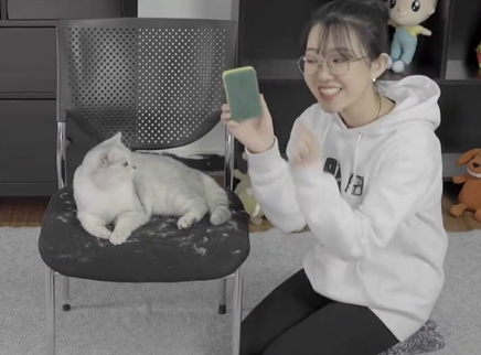 举起爪儿来 4招摆脱猫毛困扰