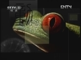 动物世界 《动物世界》 20120715