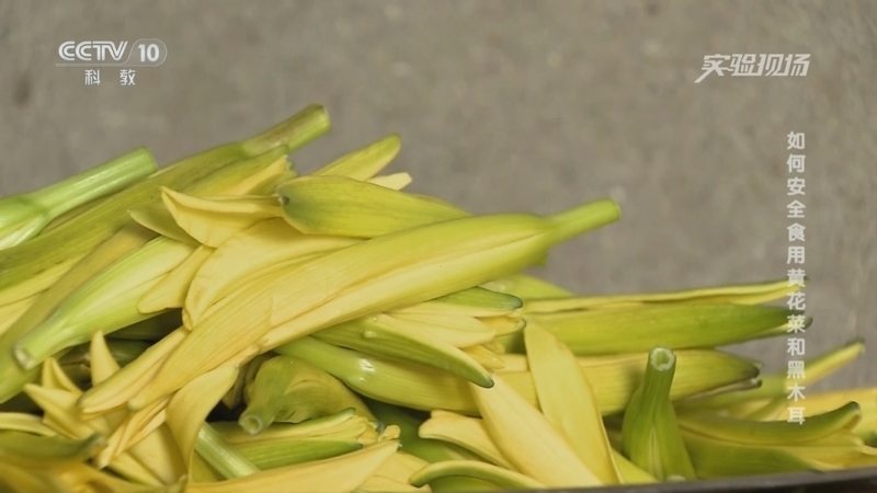 实验现场 《实验现场》 20250621 如何安全食用黄花菜和黑木耳
