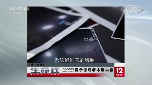 生命线 《生命线》 20191225