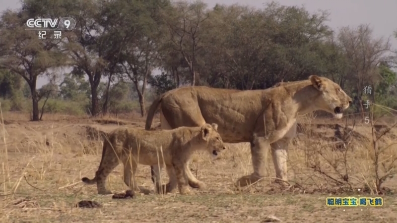 《猎手》 第5集 伙伴