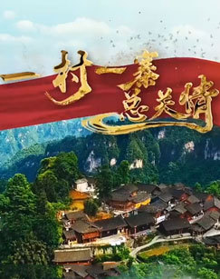 一村一寨总关情 海报