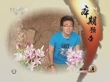 生财有道 [生财有道]花圃“种”出长生花（20120601）