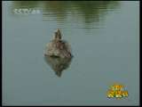 新闻袋袋裤 新闻袋袋裤 2010年 第30期