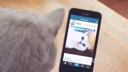 当你偷看别人朋友圈 却不小心点了个赞时 35