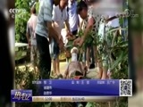 热线12 《热线12》 20180716 12:00