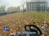 天网 《天网》 20180801 警犬成长记：驯犬那些事儿