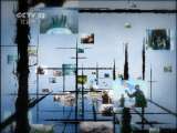 天网 天网 2011年 第54期 小区内的呼救声