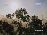 动物世界 《动物世界》 20160514 美猴王奇遇记（下）